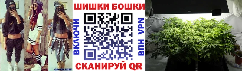 APVP Тайга