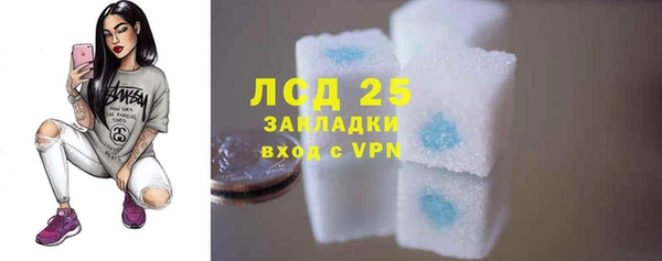 PSILOCYBIN Бугульма