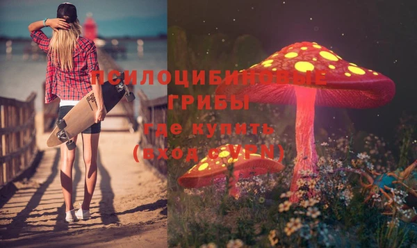 дурь Вязьма