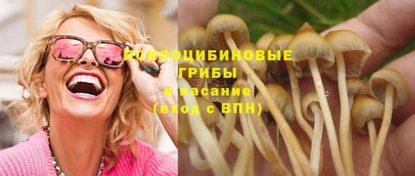 синтетический гашиш Приозерск