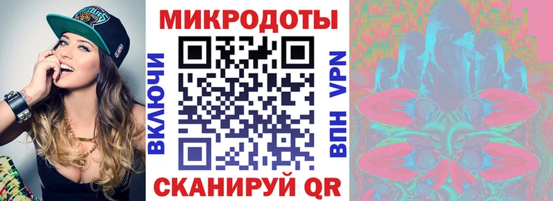 купить наркоту  Тайга  hydra сайт  Псилоцибиновые грибы Psilocybe 